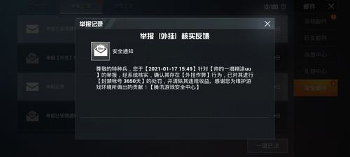 和平【涂山红红】辅助轻便直装工具,重现丝滑畅快体验